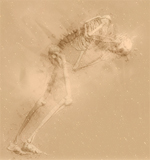 Avatar de l’utilisateur