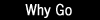 Why Go